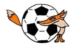 7 Fussballfuchs.webp