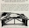 1920.webp