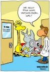 hno.webp