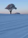 5CB1D6F4-065D-4715-B096-693F3774DC88.webp