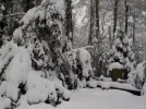 DSCN4549.webp