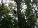 20201024_130502.webp