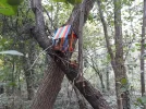 20201024_131007.webp