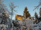DSCN4515.webp