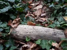 20201024_131422.webp