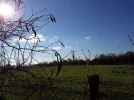 20201119_121223.webp