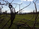 20201119_121244.webp