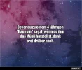 7 hau rein.webp