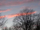 DSC02260k.webp