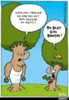 7 bonsai.webp