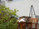 DSCN4147.webp