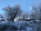 EF61AB04-C0A1-47AE-8B79-753FAF27AF6A.webp