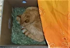 SAM_0036 (4).webp