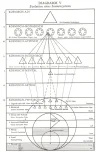 DIAGRAMM V - Evolution eines Sonnensystems.webp