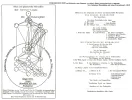 Solare und planetare Hierachien.webp