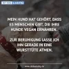 7 Hund wursttüte.webp