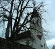 SAM_0040.webp