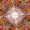 sonnenrot.webp