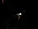 P1000210.webp
