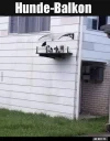 7 hundebalkon.webp