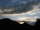 IMG_2761.webp