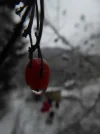 P1030581.webp