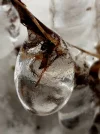 20210212_185902.webp