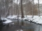 Schneesturm_1.webp