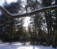 Schnee und Sonne_2.webp