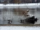 20210212_203641.webp
