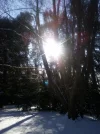 Schnee und Sonne_1.jpg