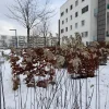 20210113_111007.webp