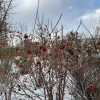 20210113_110925.webp