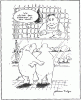 witz-vegetarismus1.gif