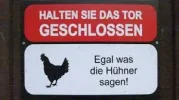 7 hühner.webp