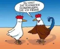 7 Hühneraugen.webp