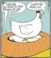 7 huhn treat like achild.webp