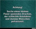 7 drachen suche.webp