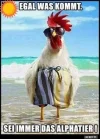 7 alphatier.webp