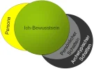 A  Persona-Schatten-Grafik.webp