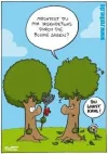 7 du wirst kahl.webp