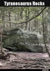 7 tyranosaurus.webp