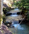 IMG_2021-02-20-11-56-46-234 (2).webp