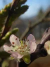 P1030866.webp