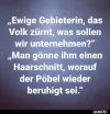 7 haarschnitt.webp