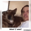 7 hunde.gif