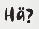 hae.webp
