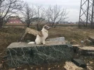 IMG-20210220-WA0007.webp