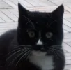 20180226_180603.webp