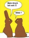 osterau.webp